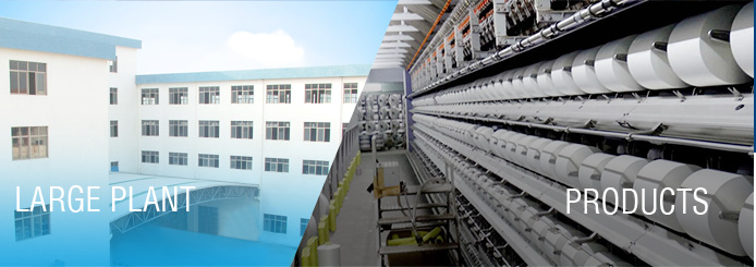 Guangdong Modern High-tech Fiber Co., Ltd  ，MODERNS PP Microfiber， Microfiber PPD TY moderns，PP profiled yarn，PP intermingled FDY，PP twisted yarn，Differential Fiber PP yarn，PP fine denier yarn,PP fine denier DTY yarn