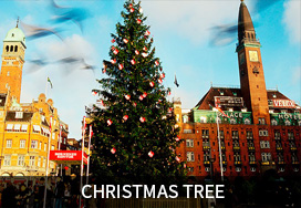 Guangdong Modern High-tech Fiber Co., Ltd  ，MODERNS PP Microfiber， Microfiber PPD TY moderns，PP profiled yarn，PP intermingled FDY，PP twisted yarn，Differential Fiber PP yarn，PP fine denier yarn,PP fine denier DTY yarn